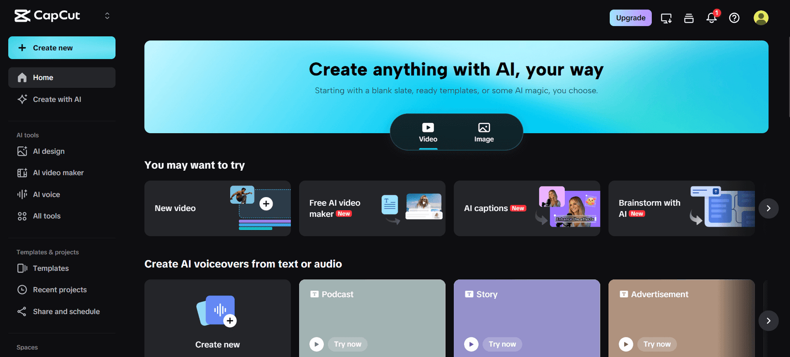 capcut dashboard screenshot